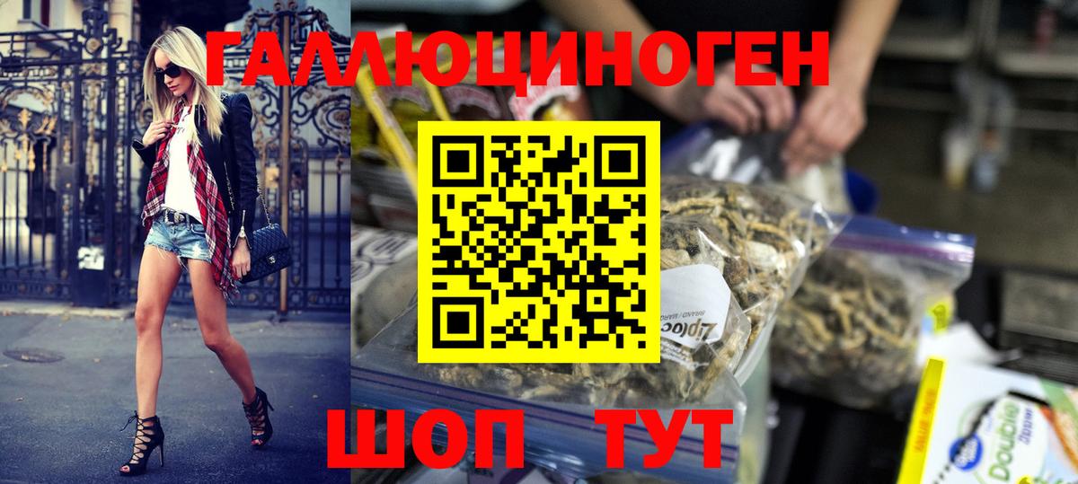 Галлюциногенные грибы Psilocybe Протвино